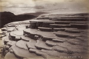 Kávéscsészék, Fehér terasz, 1885. január (albumnyomat) alkotó: George Dobson Valentine